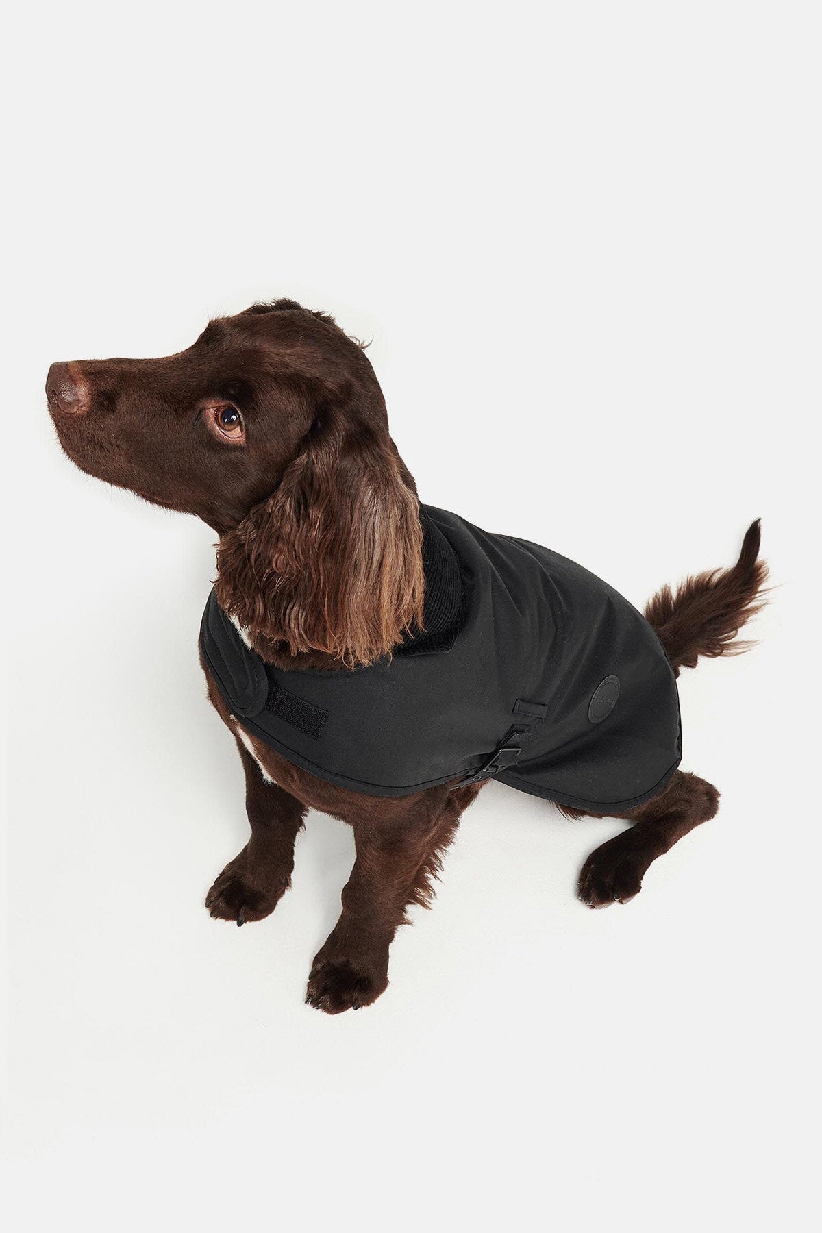 Hundewachsjacke