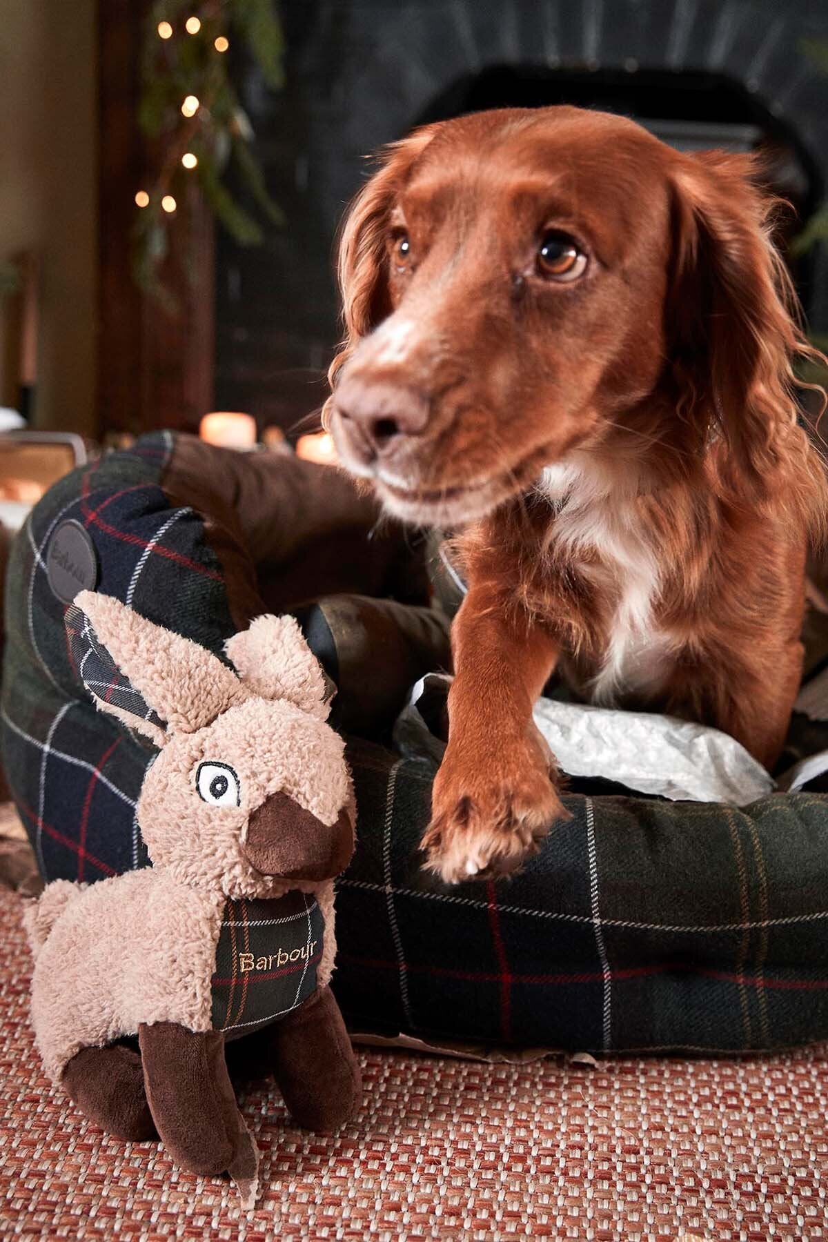Hundespielzeug Hase