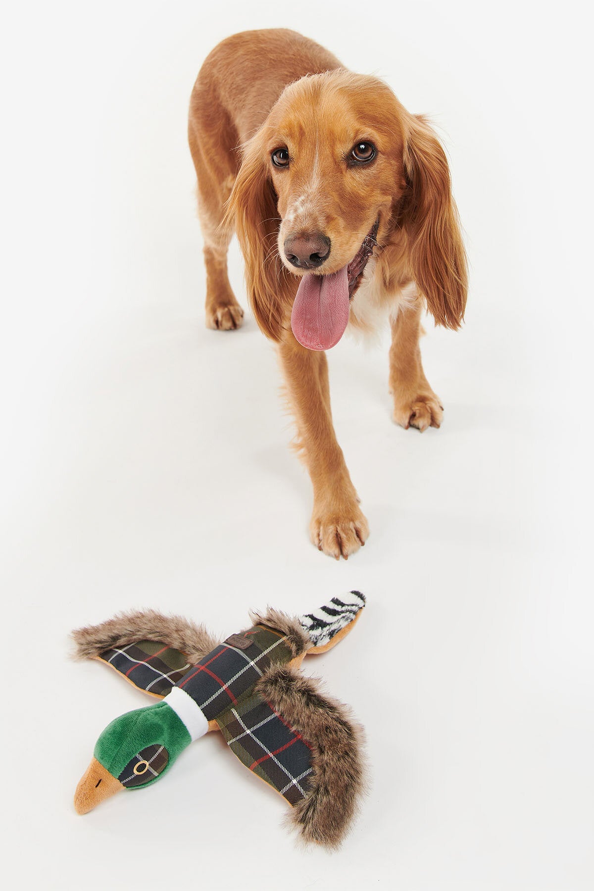 Hundespielzeug Fasan