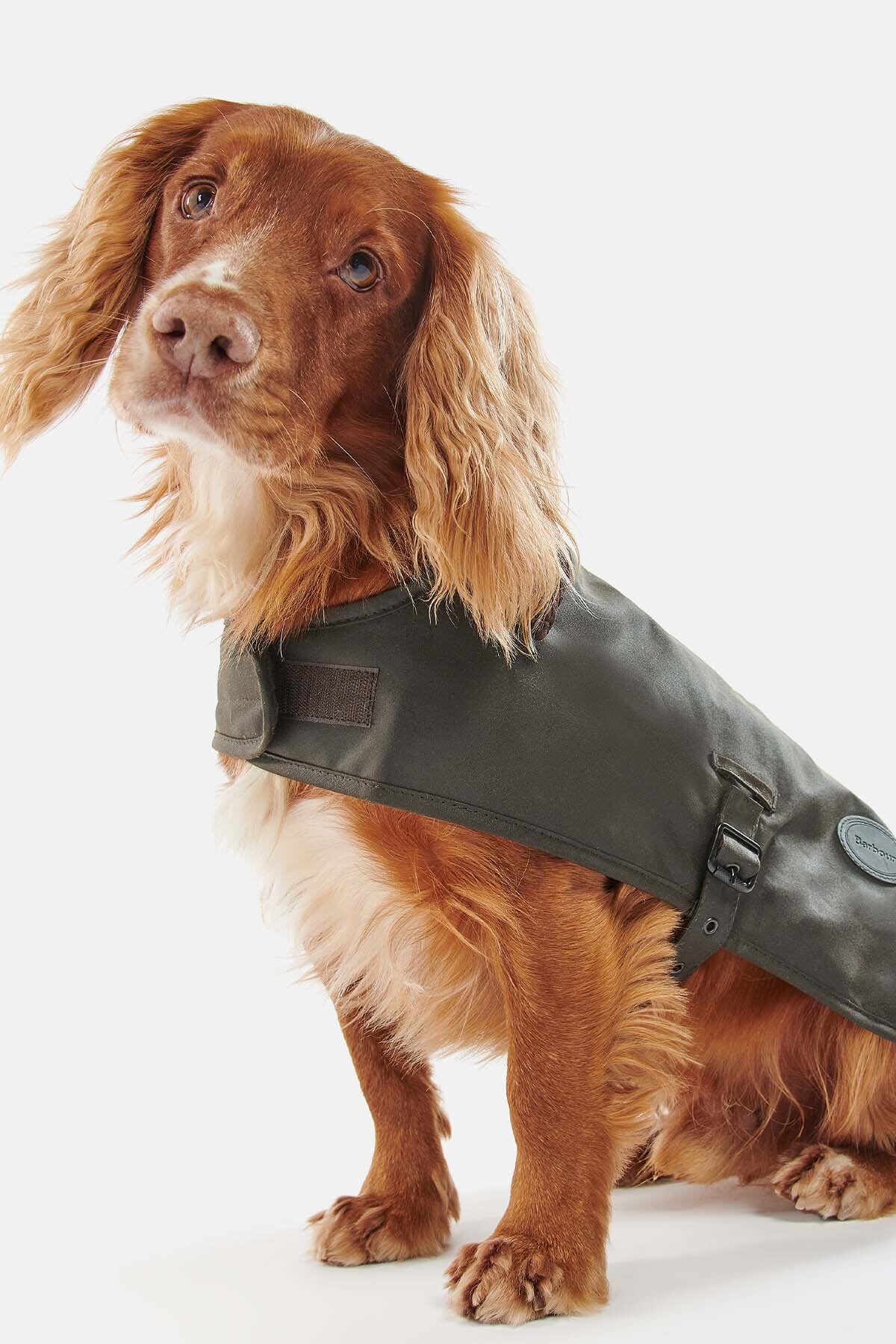 Hundewachsjacke