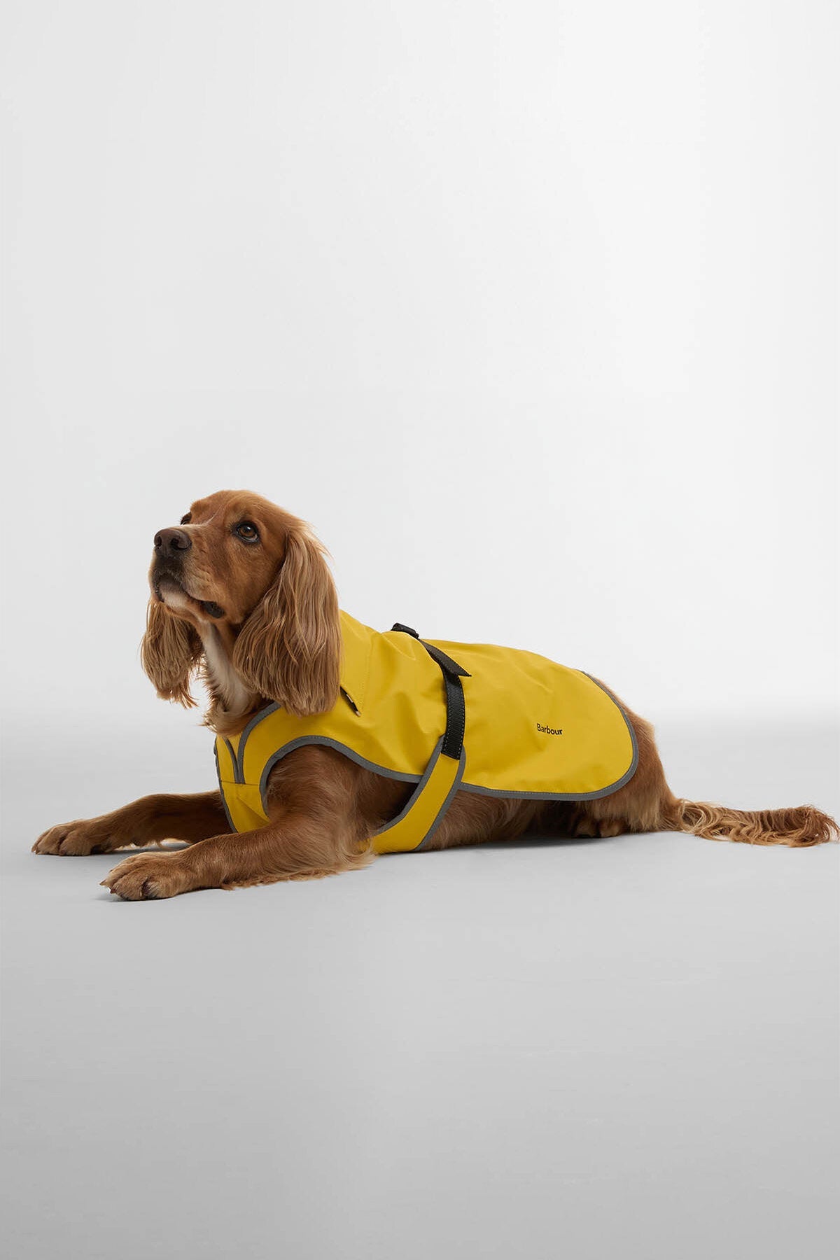 Evie Wasserdichter Hundemantel